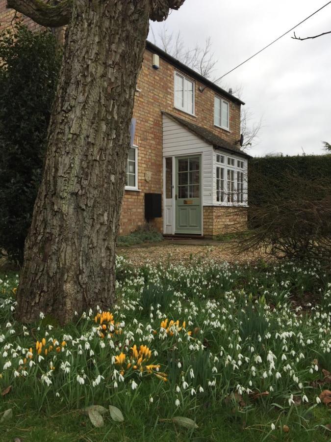 Beech View Cottage Downham Market Dış mekan fotoğraf