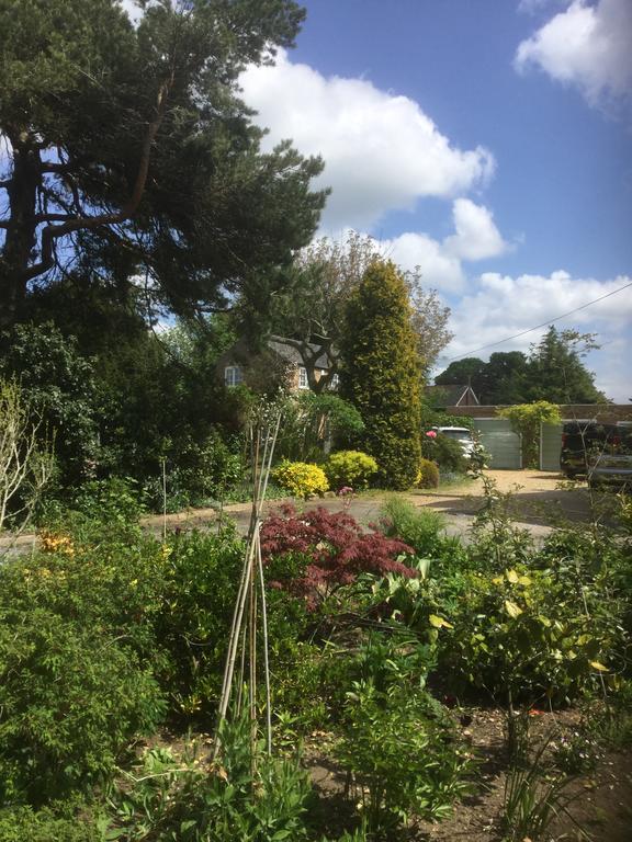 Beech View Cottage Downham Market Dış mekan fotoğraf